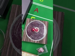 Jeux de dés en plastique
